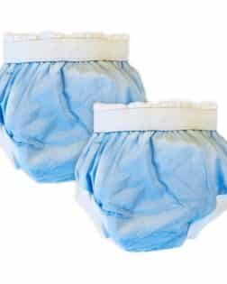 Sema Baby 2'li Lüks Alıştırma Külodu 10-15 kg - Mavi