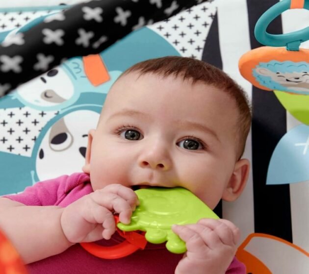 Fisher Price Neşeli Hayvanlar 3'Ü 1 Arada Jimnastik Merkezi Oyun Halısı - Image 6