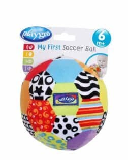Playgro Renkli Top