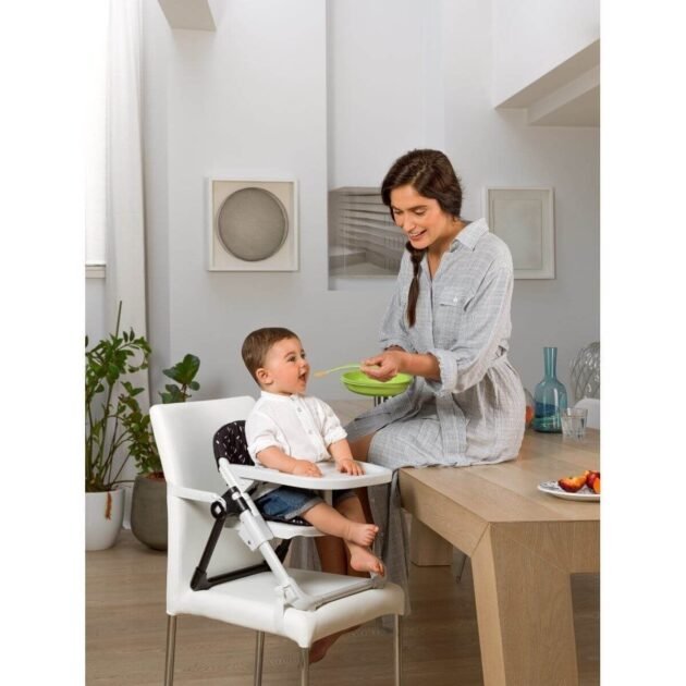 Chicco Chairy Yükseltici Mama Sandalyesi - Laydbug - Image 6